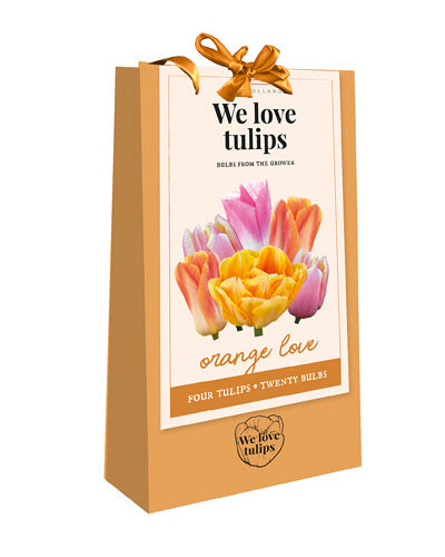 Tulpju maisījums We Love tulips - Orange Love