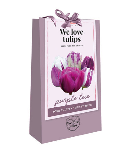 Tulpju maisījums We Love tulips - Purple Love