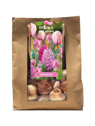 Sīpolpuķu maisījums Pink Blush