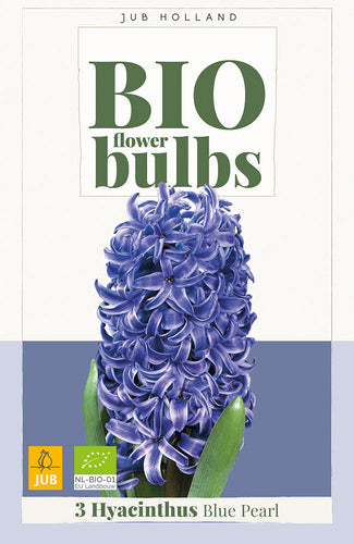 Austrumu hiacinte Blue Pearl (BIO) 14/+