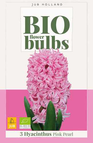 Austrumu hiacinte Pink Pearl (BIO) 14/+