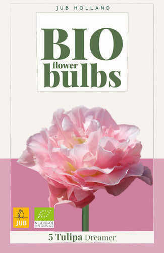 Tulpe, agra, pild. z. Dreamer (BIO) 11/+