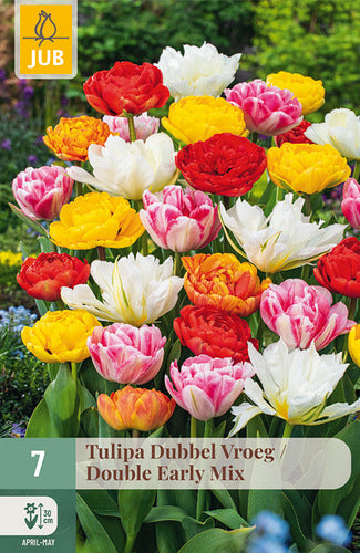 Tulpe agrā pildīts zieds Double Early Mix 11/12 (7 sīpoli paciņā)