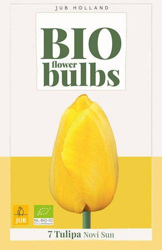 Tulpe, Darvina hibrīds Novi Sun (BIO) 11/+