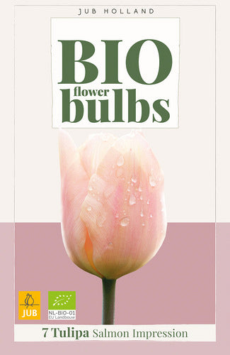 Tulpe, Darvina hibrīds Salmon Impression (BIO) 11/+