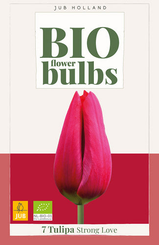 Tulpe, triumfa Strong Love (BIO) 11/+