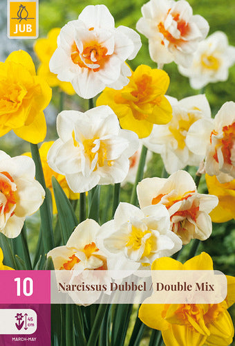 Narcise pildītiem z. Double Mix 12/14