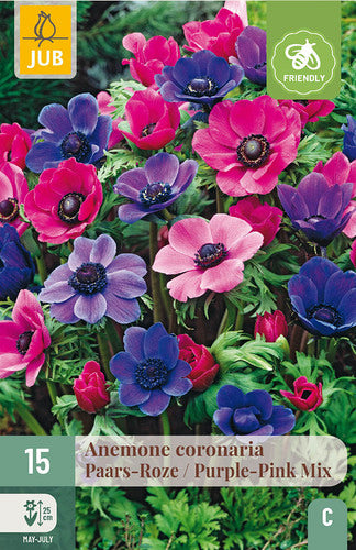 Vainagu anemone Pink-Purple Mix 5/6 (15 gab. paciņā)