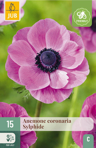 Vainagu anemone Sylphide 5/6 (15 gab. paciņā)