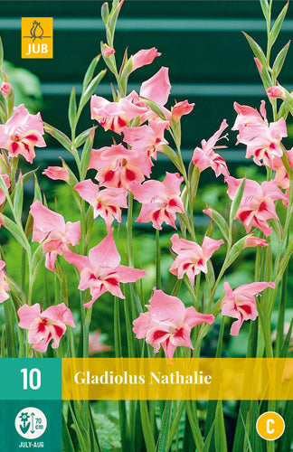 Sīkziedu gladiola Nathalie 8/9 (10 gab. paciņā)