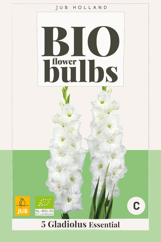 Gladiola Essential (BIO) 10/12 (5 gab. paciņā)