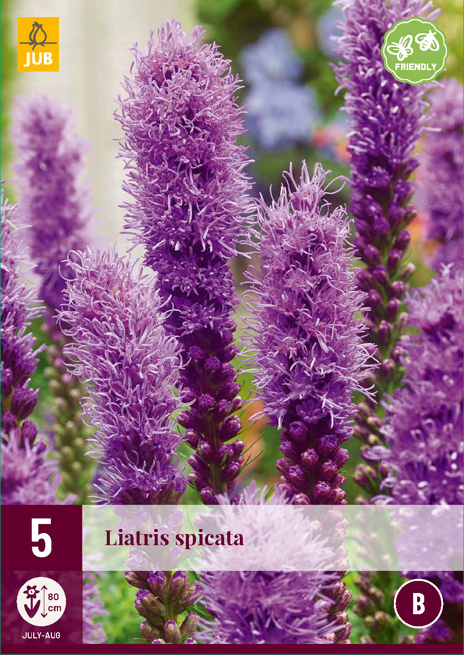 Vārpu liatre 12/14 (5 gab. paciņā)