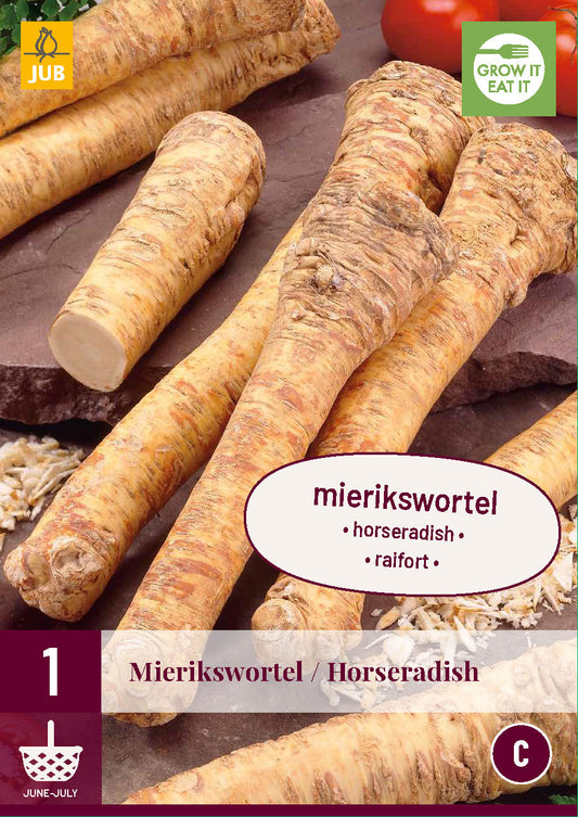 Mārrutks Horseradish 30/ + (1 gab. paciņā)