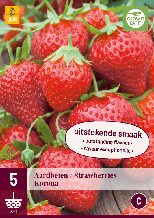 Dārza zemene Korona (5 gab. paciņā)