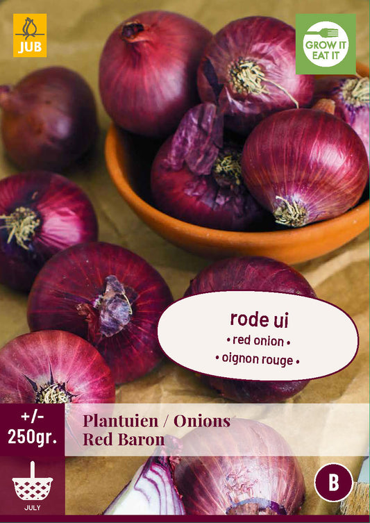 Sīpols Red Baron 250 g (1 gab. paciņā)