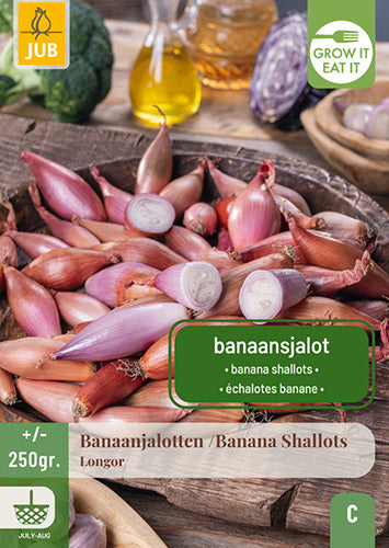 Sīpols Longor 250gr (1 gab. paciņā)