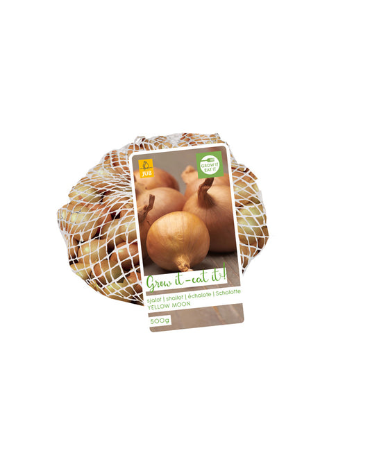 Sīpols Moon 500gr (1 gab. paciņā)