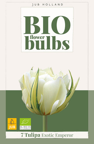 Tulpe, Fostera Exotic Emperor 11/+