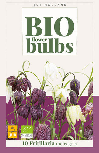 Rūtainā fritilārija Mix 6/7