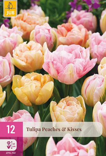Tulpju maisījums Peaches & Kisses 11/12