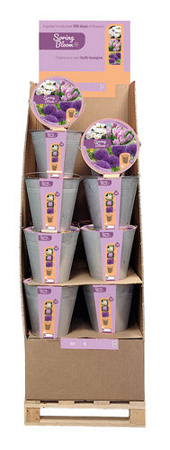 Sīpolpuķu maisījums Bucket Spring Bloom - 24