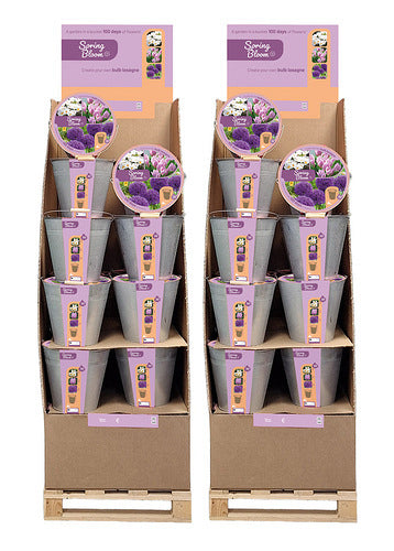 Sīpolpuķu maisījums Bucket Spring Bloom - 48