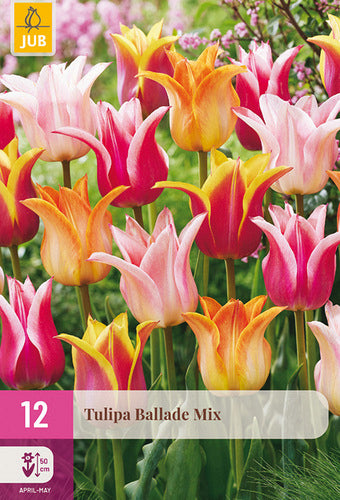 Tulpju maisījums Ballade Mix 11/12