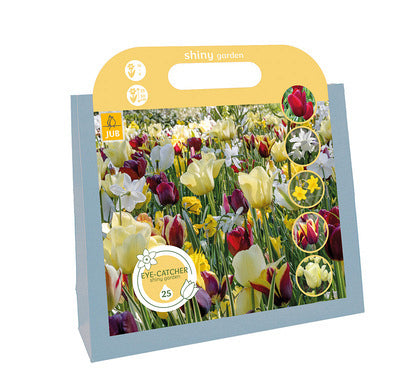 Sīpolpuķu maisījums Eye-Catcher - Shiny Garden