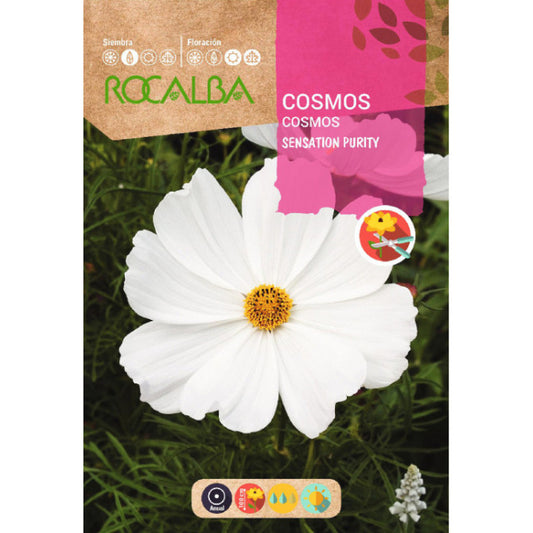 Kosmejas baltas Sensation Perity 6g