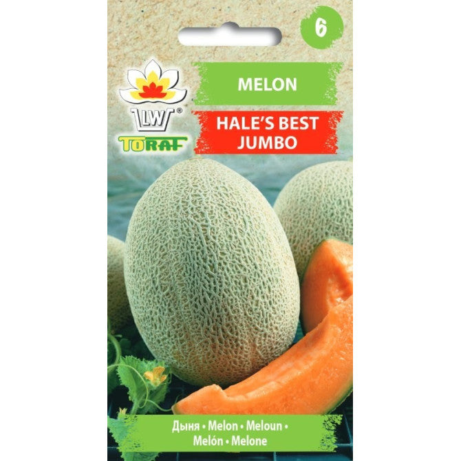 Melone Hale's best jumbo 0.01g