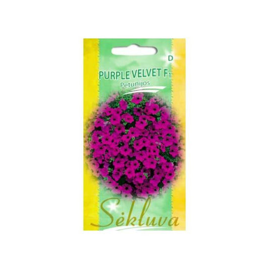 Petūnijas PURPLE VELVET F1, 10 sēklas S.N.10369