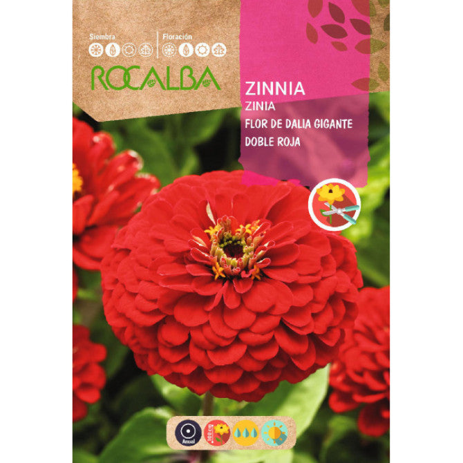 Cinnijas (ROCALBA) sarkanas 4g