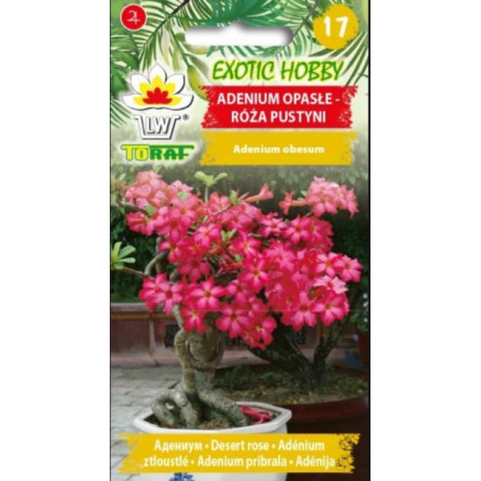 Adēnija-Tuksneša roze 5 sēklas PL201604335/650RP