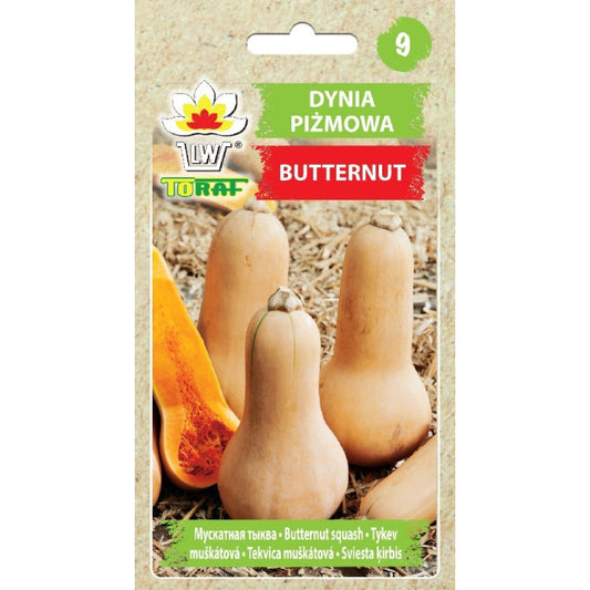 Ķirbis Butternut 4g