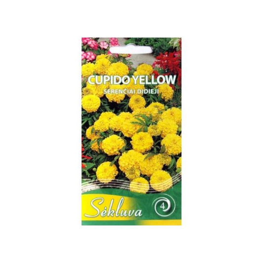 Samtenes CUPIDO YELLOW 0.3g S.N.9787