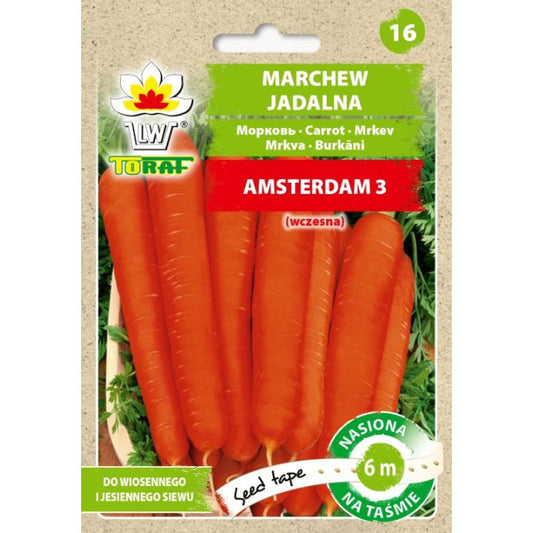 LENTE Burkāni Amsterdam 3, 6m DE80016020204847 ST