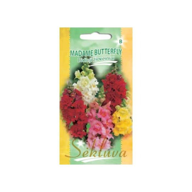 Lauvmutītes MADAM BUTTERFLY 30 sēklas S.N.9372