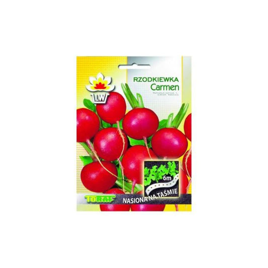 LENTE Redīsi Carmen 6m