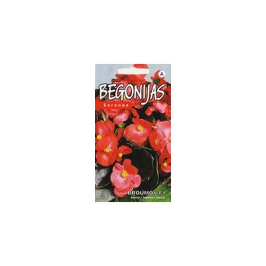 Leduspuķes Broumov F1 15 sēklas