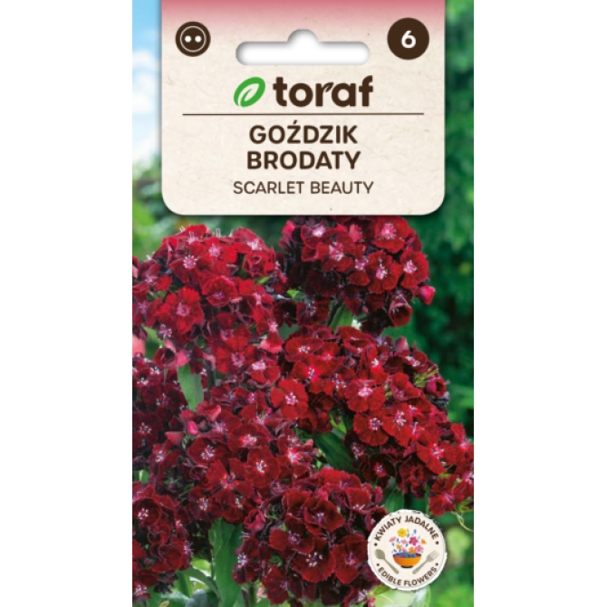 Studentu neļķes (TORAF) Scarlet Beauty 0.5g