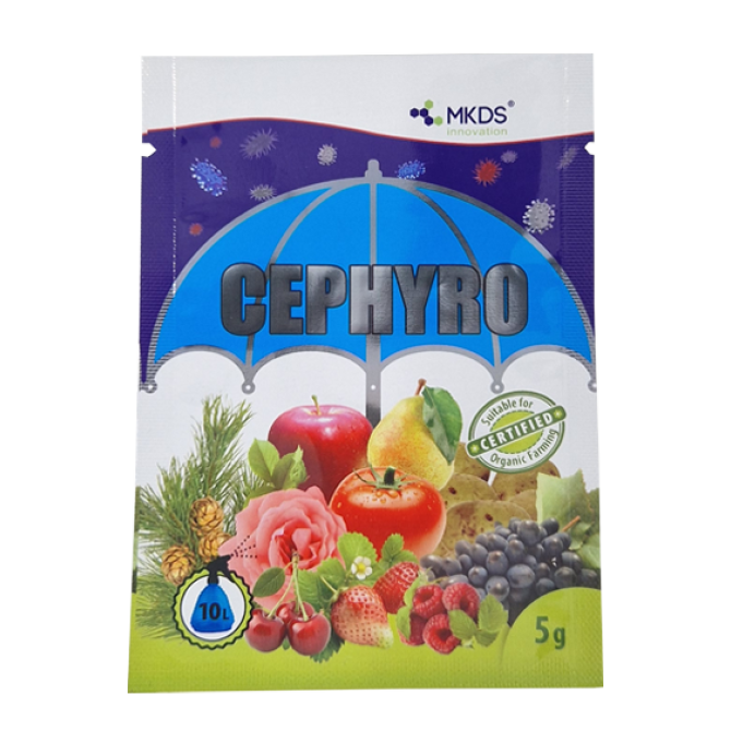 Cephyro 5g