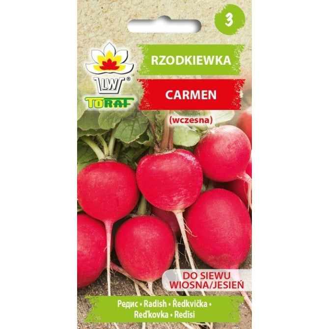 Redīsi Carmen 10g PL802/05/16/HR21ST