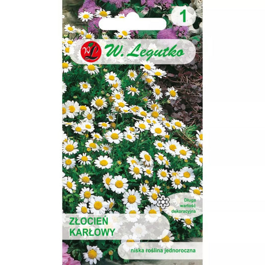 Krizantēma krastmalu balta 0.2g