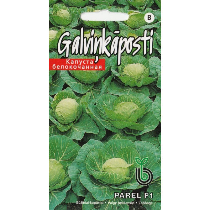 Kāposti Parel F1 30gab