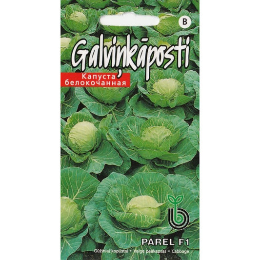 Kāposti Parel F1 30gab