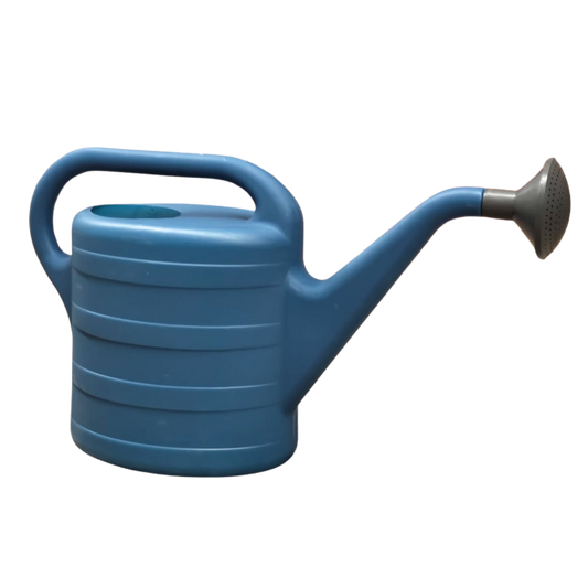 Lejkanna zila 10L