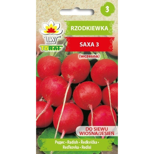 Redīsi Saxa 3 10g IT48479CIN0CA ST