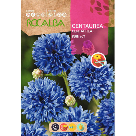 Rudzupuķes zilās Blue Boy 10g