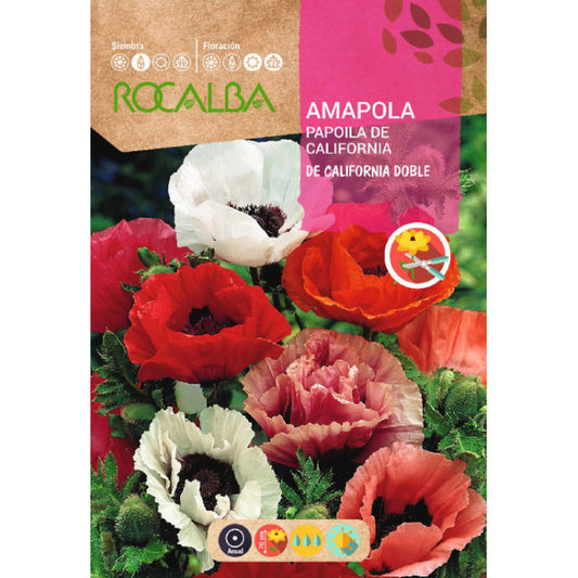 Magones de California doble 2g