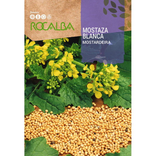 Sinepes (ROCALBA) baltās 10g(PASE UZ PACIŅAS)